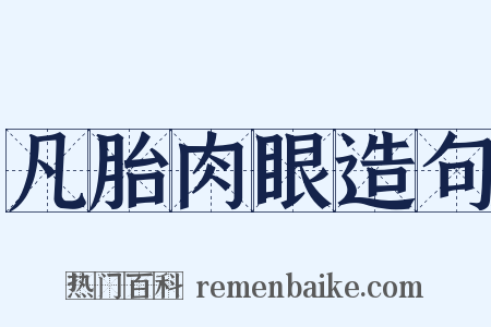 凡胎肉眼造句是什么意思的图片